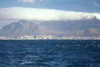 gal/Photographs/Capetown 2002/_thb_Img0321.jpg
